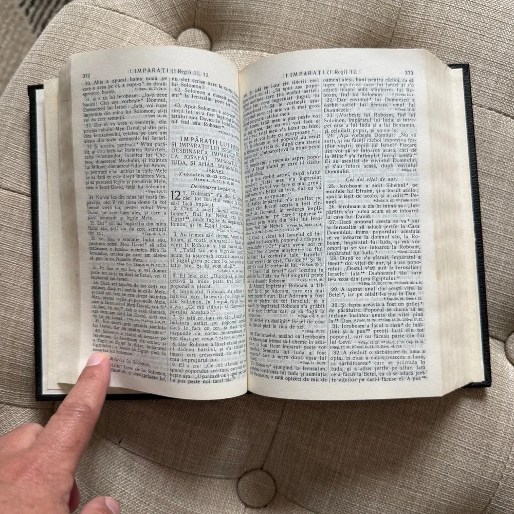 Biblia vintage romanian
